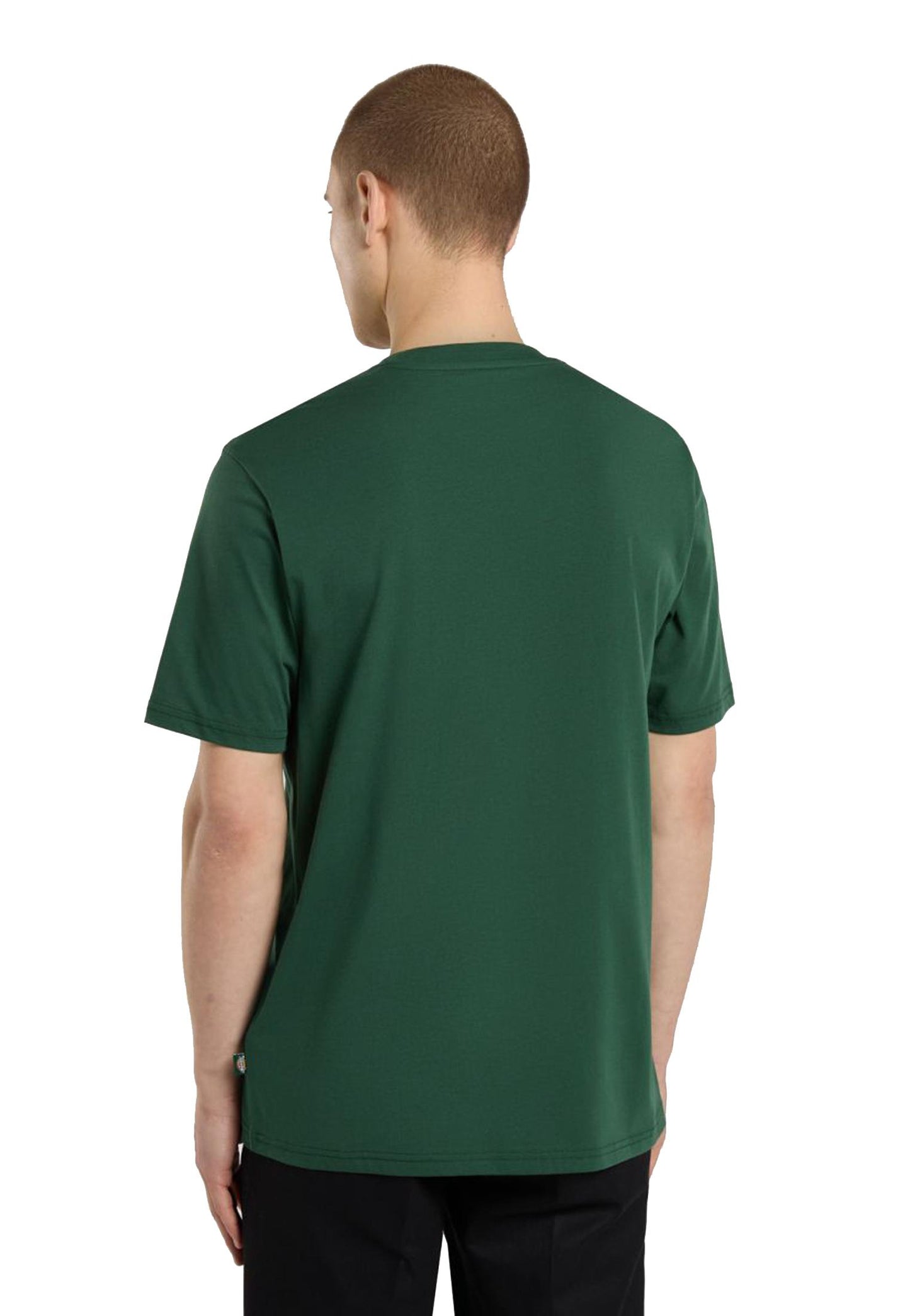 T-shirt girocollo cotone verde pino Mapleton Dickies A25 DK0A4XDBPIN1 DKPINDKPIN DICKIES