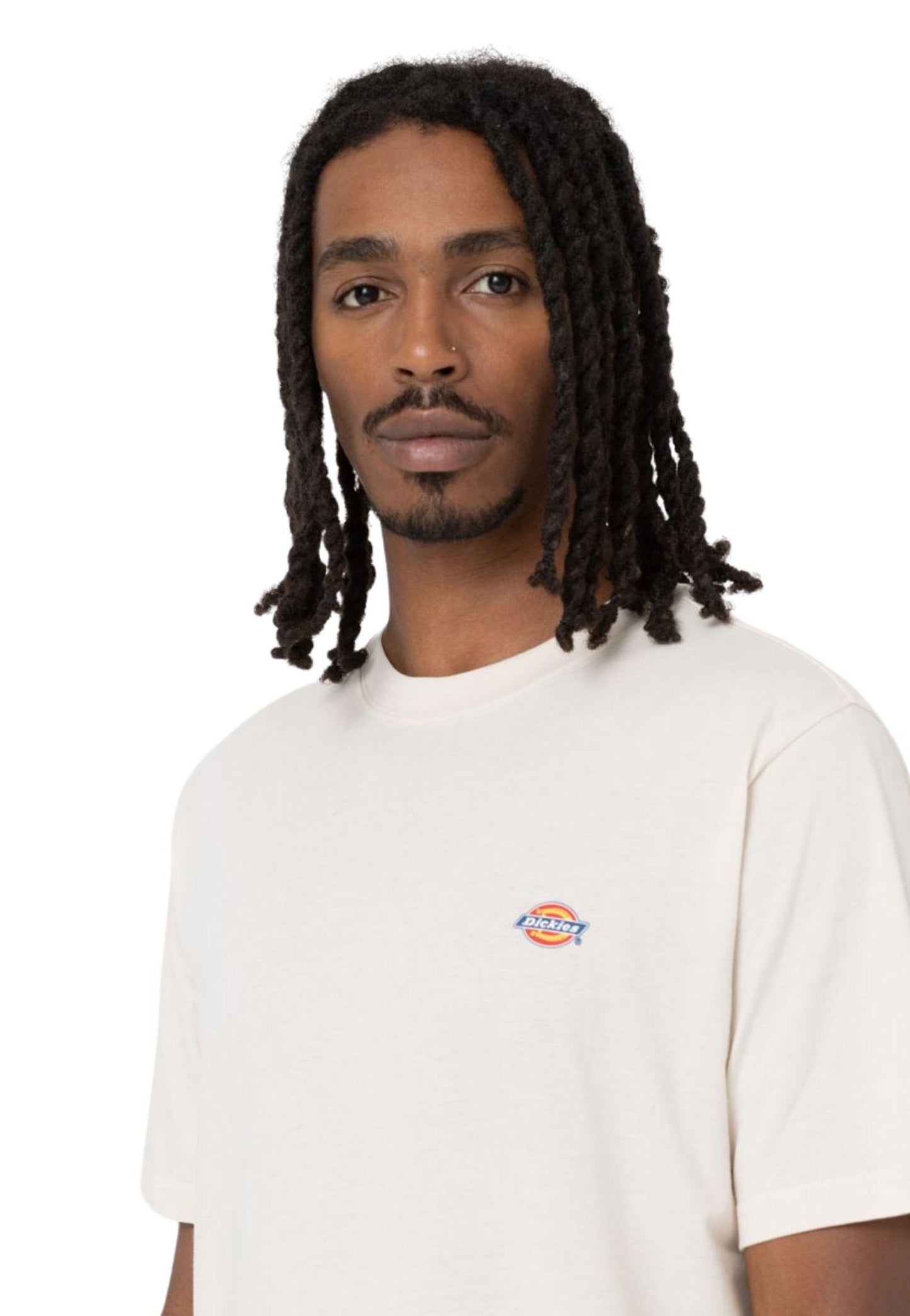 T-shirt Mapleton grigio chiaro Dickies P25 DK0A4XDBF901 DKF90DKF90 DICKIES