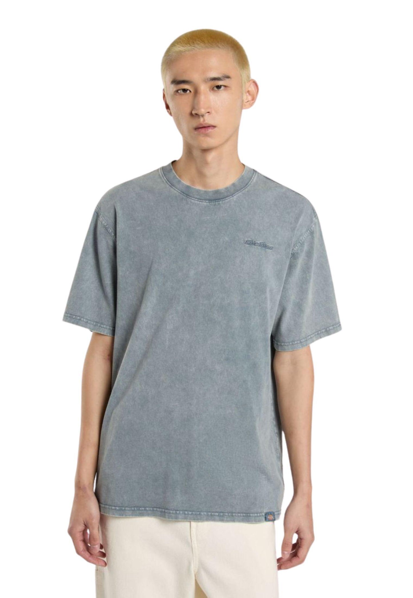 T-shirt Plentywood grigio Dickies P25 DK0A866BG701 DKG70DKG70 DICKIES