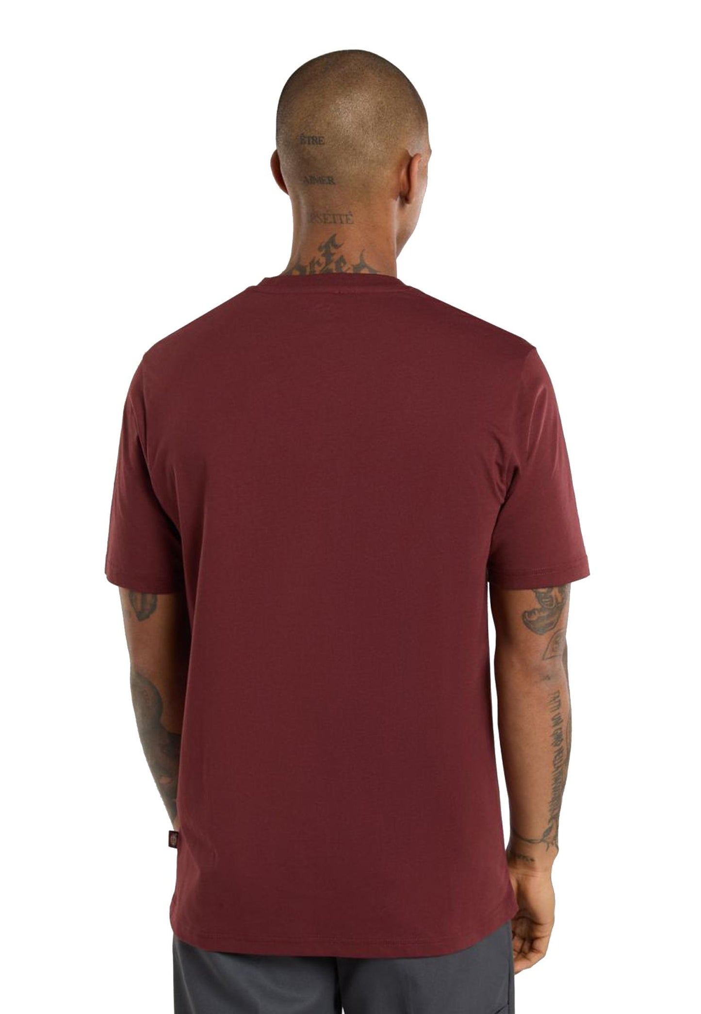 T-shirt girocollo cotone bordeaux Mapleton Dickies A25 DK0A4XDBL161 DKL16DKL16 DICKIES
