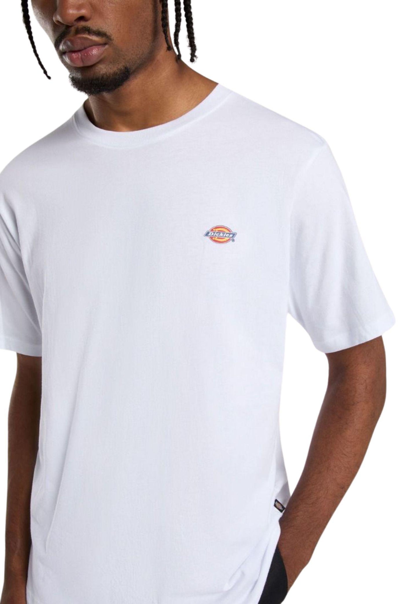 T-shirt Mapleton bianco Dickies P25 DK0A4XDBWHX1 DKWHXDKWHX DICKIES