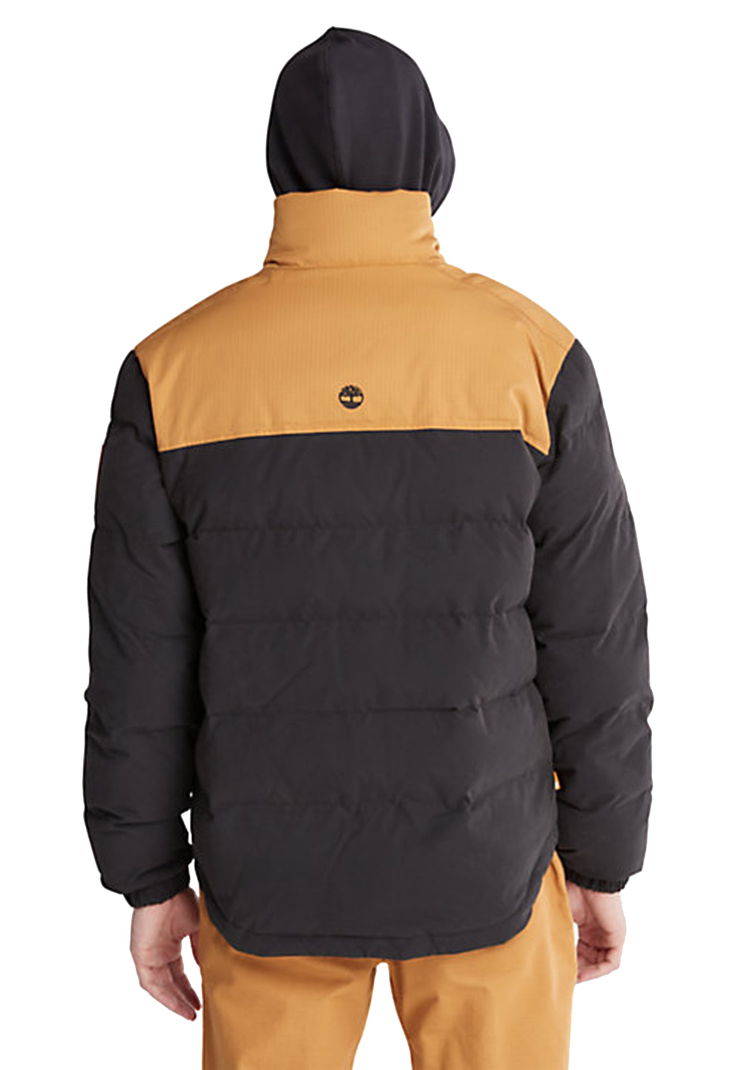 Giubbotto Piumino bicolore Timberland A25 TB0A22XB P571P571 TIMBERLAND 
