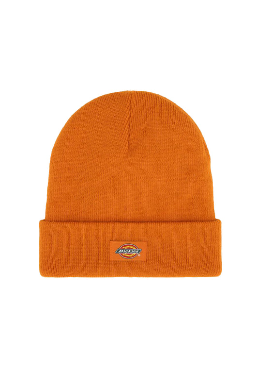 Berretto arancione unisex Gibsland Dickies A25 DK0A4X7KK641 DKK64DKK64 DICKIES 