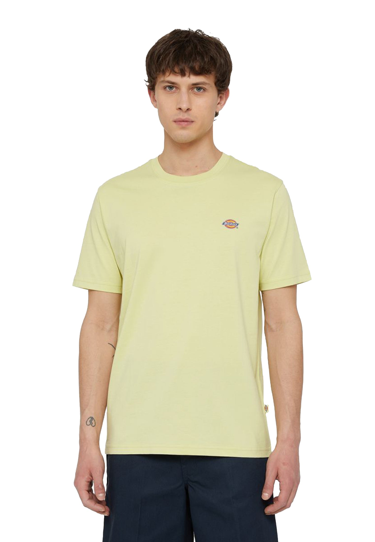 T-shirt girocollo cotone verde Mapleton Dickies P24 DK0A4XDBH141 H141 DICKIES 