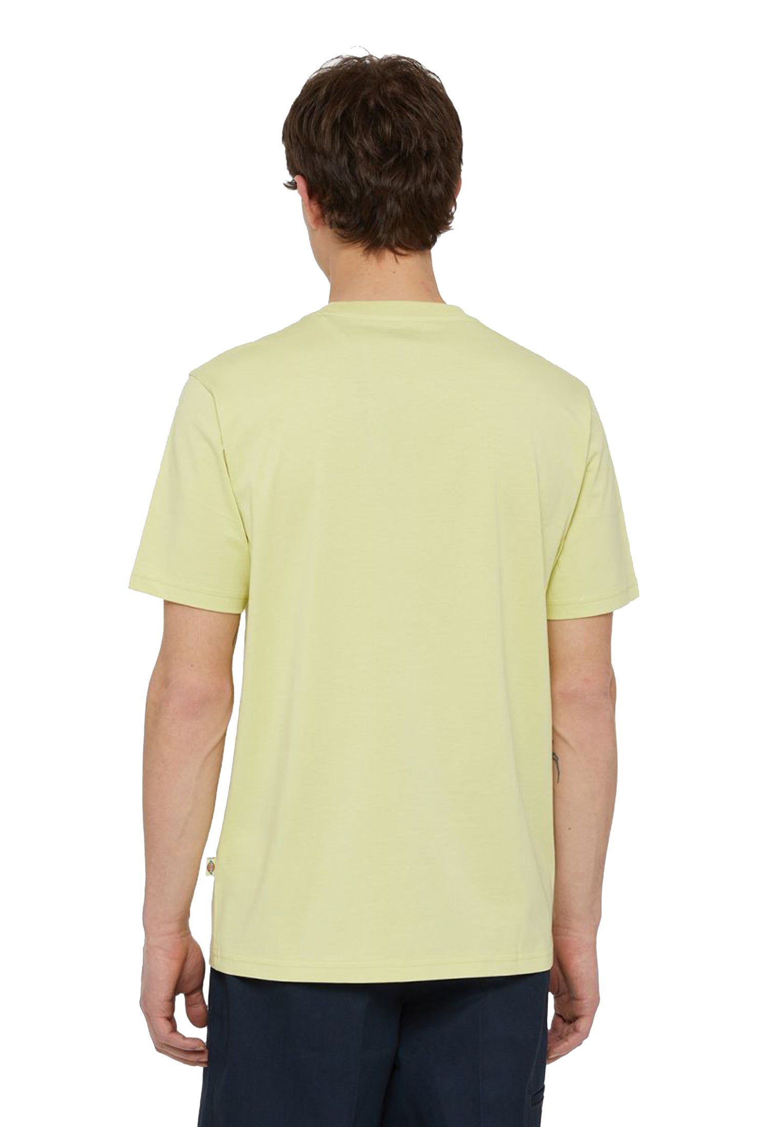 T-shirt girocollo cotone verde Mapleton Dickies P24 DK0A4XDBH141 H141 DICKIES 