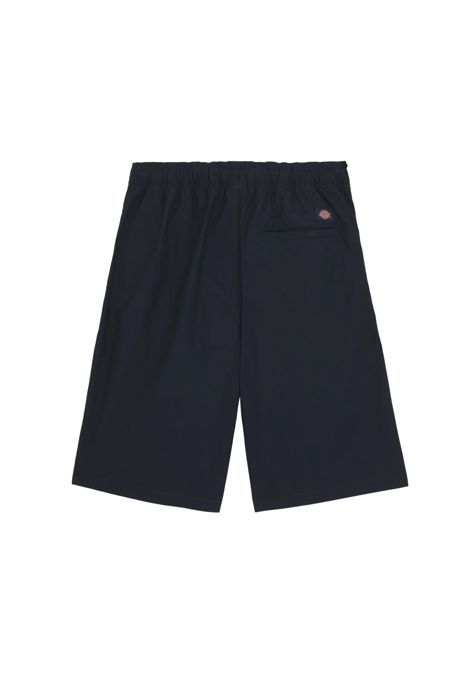 Bermuda Shorts cargo blu Fisherville Dickies P24 DK0A4YSIDNX1 DNX1 DICKIES 