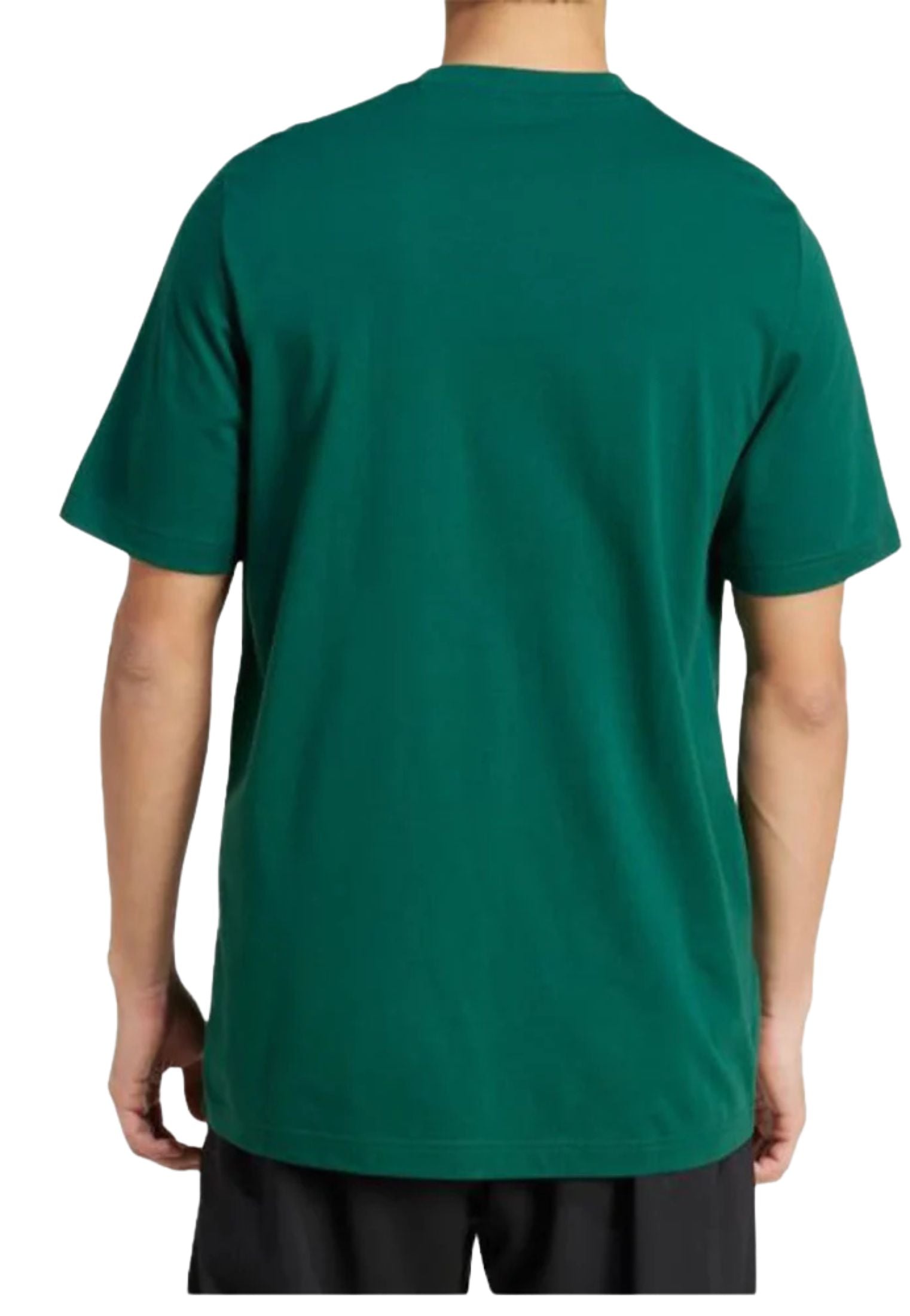 T-shirt verde Heritage Graphic Adidas P25 JV7012 GREENGREEN ADIDAS 