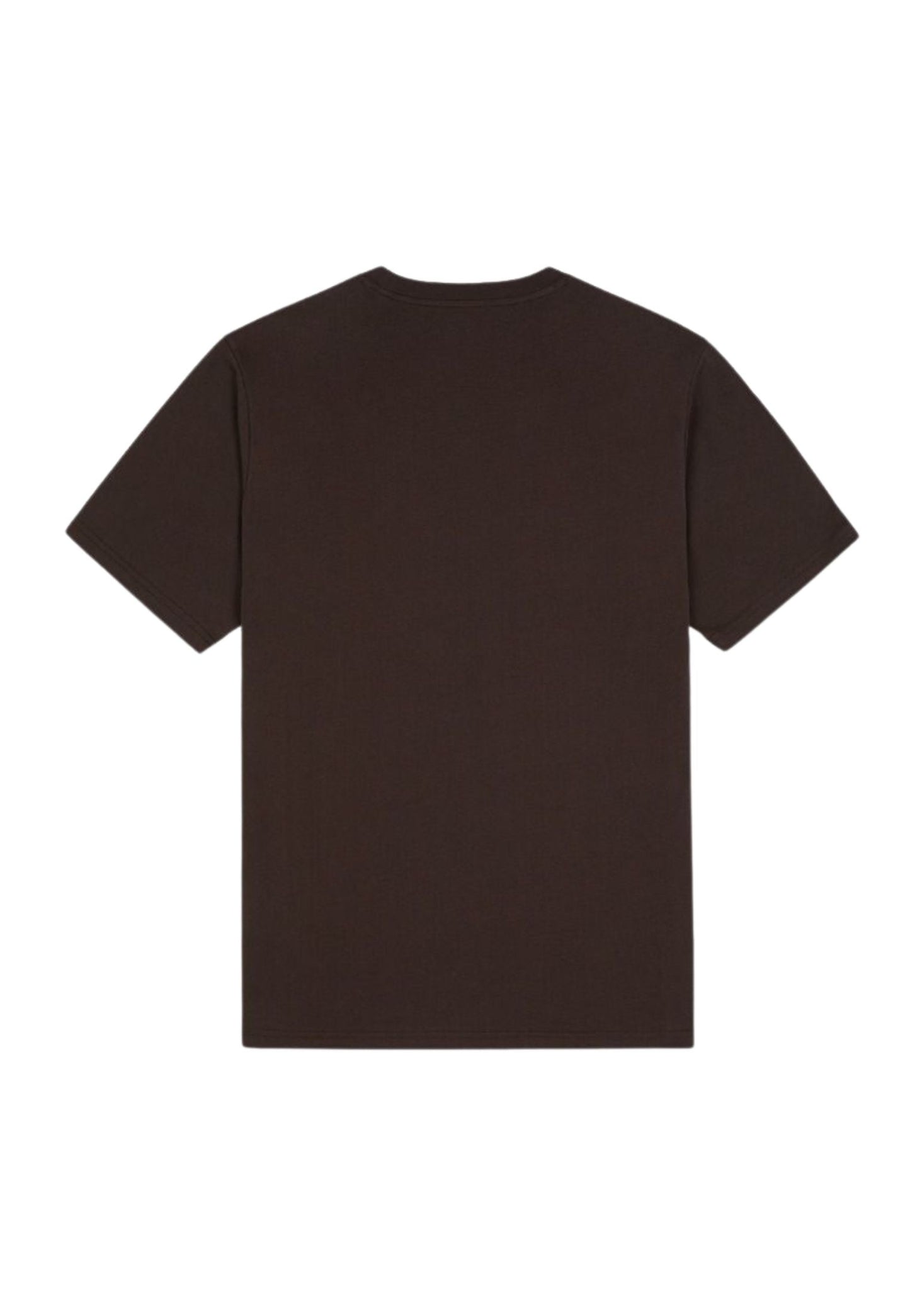 T-shirt Mapleton nero Dickies P25 DK0A4XDBBLK1 DKBLKDKBLK DICKIES 
