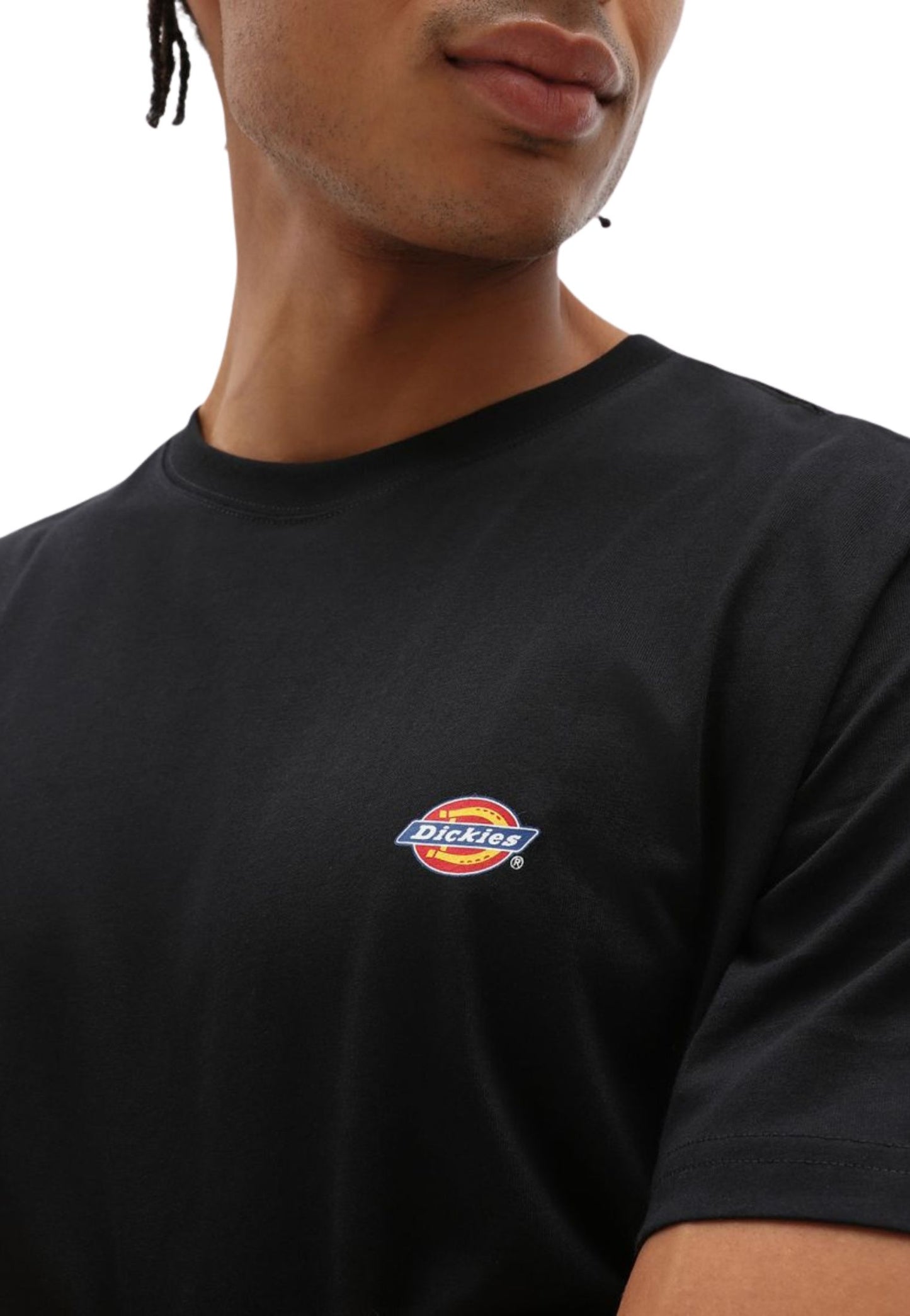 T-shirt Mapleton nero Dickies P25 DK0A4XDBBLK1 DKBLKDKBLK DICKIES 