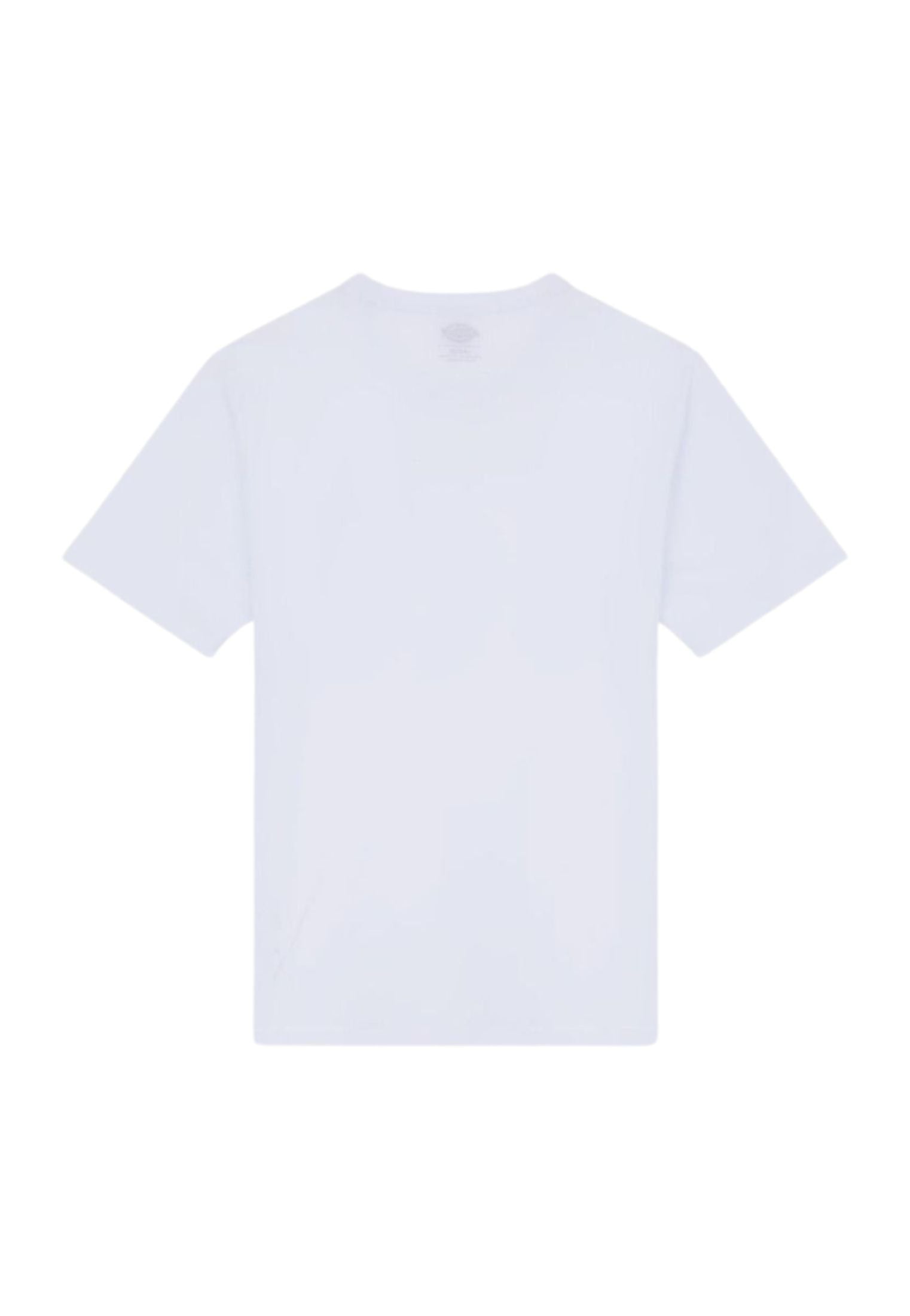 T-shirt Mapleton bianco Dickies P25 DK0A4XDBWHX1 DKWHXDKWHX DICKIES 