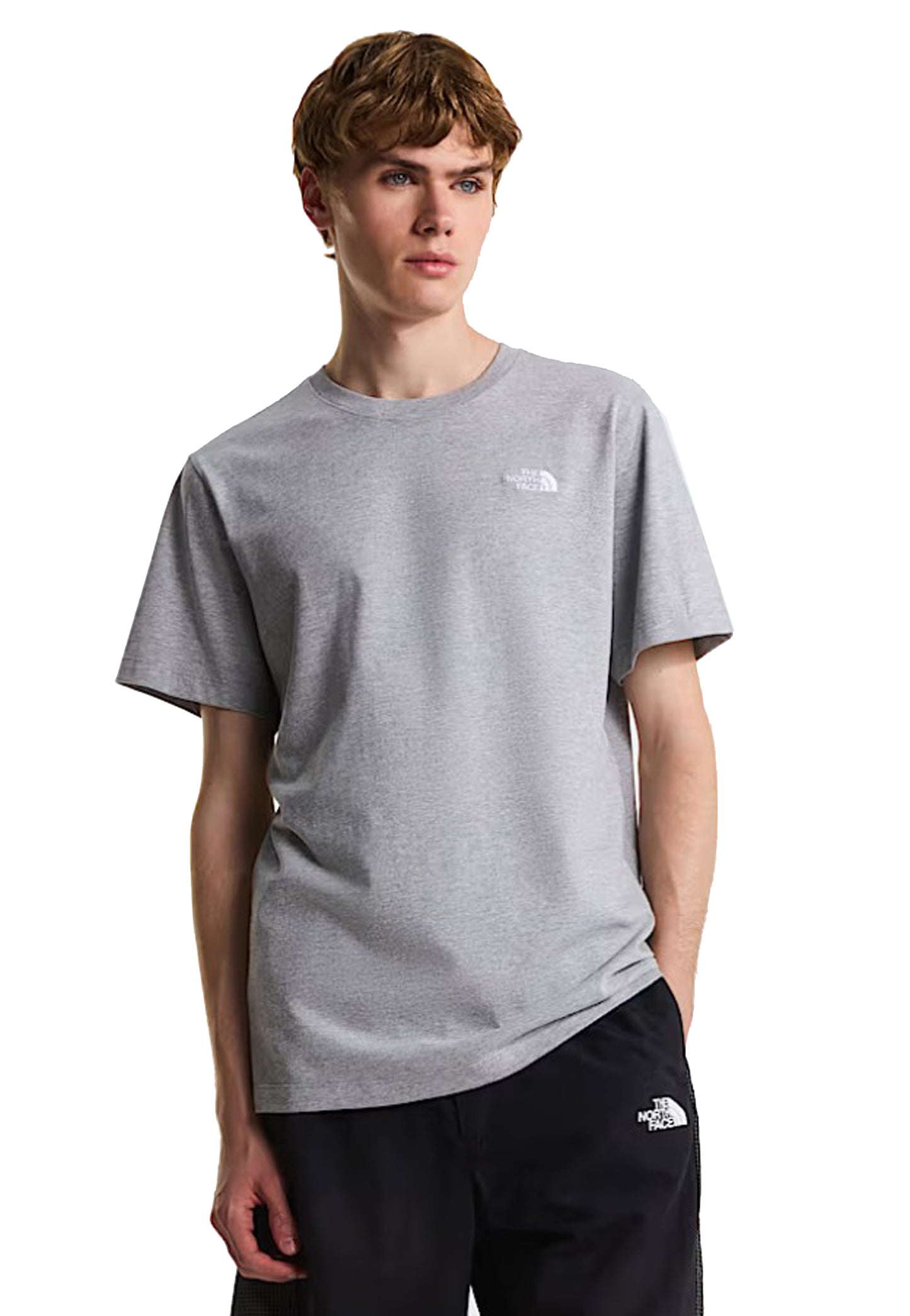 T-shirt girocollo grigio Evolution Simple Dome The North Face P26 NF0A8CZ22MB1 NF2MBNF2MB THE NORTH FACE 
