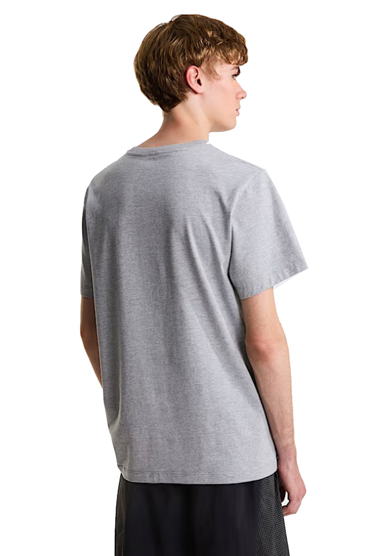 T-shirt girocollo grigio Evolution Simple Dome The North Face P26 NF0A8CZ22MB1 NF2MBNF2MB THE NORTH FACE 