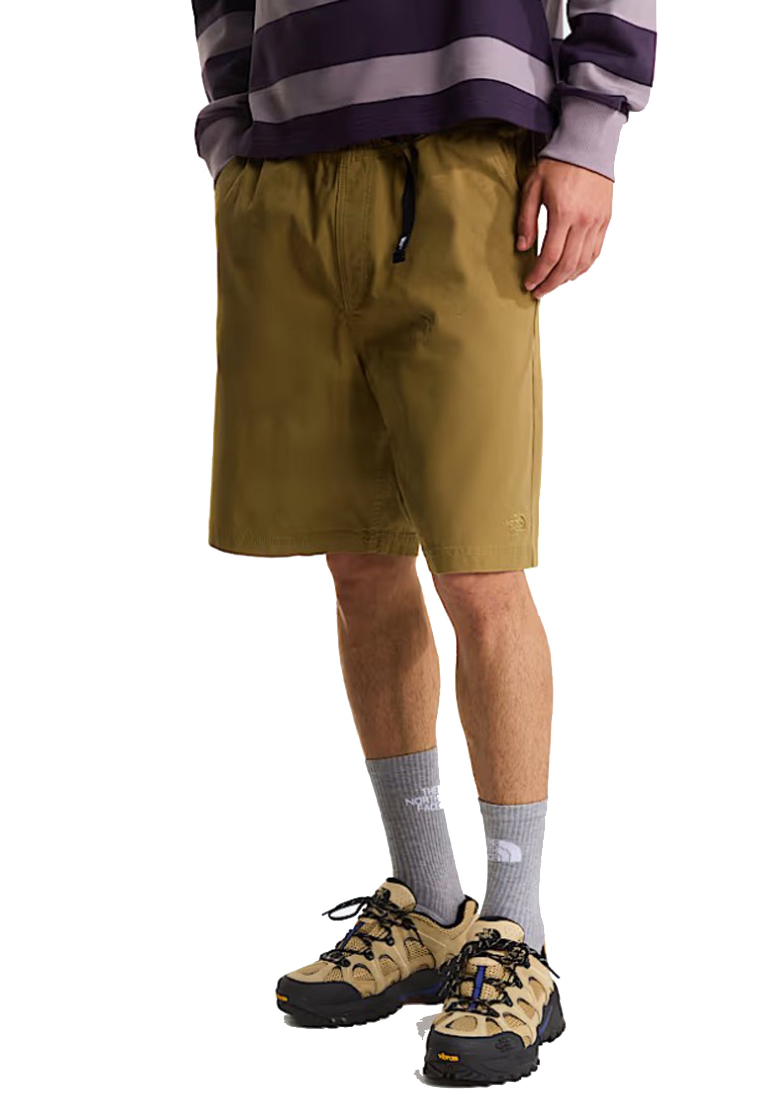 Pantaloncini bermuda sportivi marroni Baggy Beta The North Face P26 NF0A8G0A2EL1 NF2ELNF2EL THE NORTH FACE 