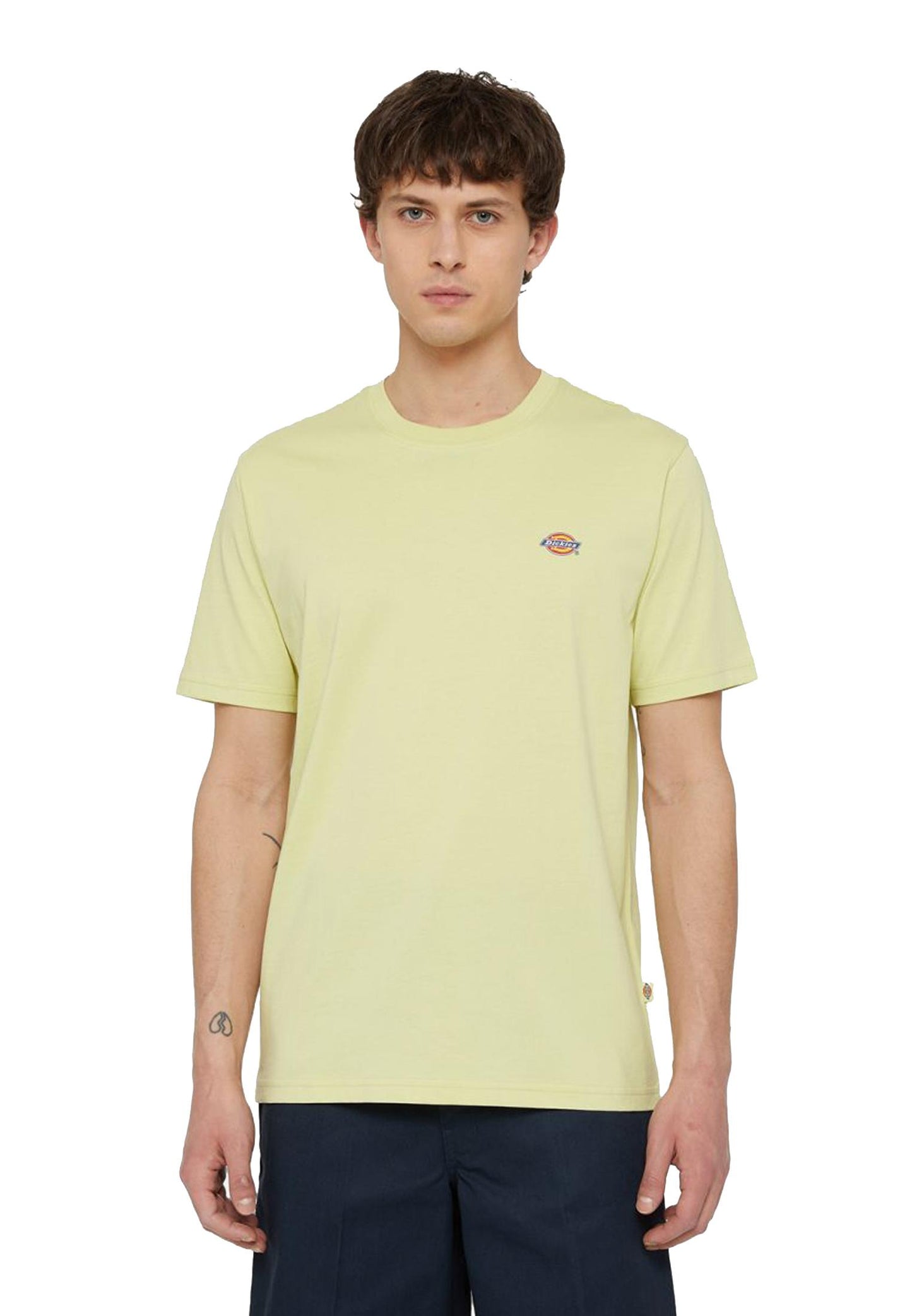 T-shirt girocollo cotone verde Mapleton Dickies P24 DK0A4XDBH141 H141 DICKIES 