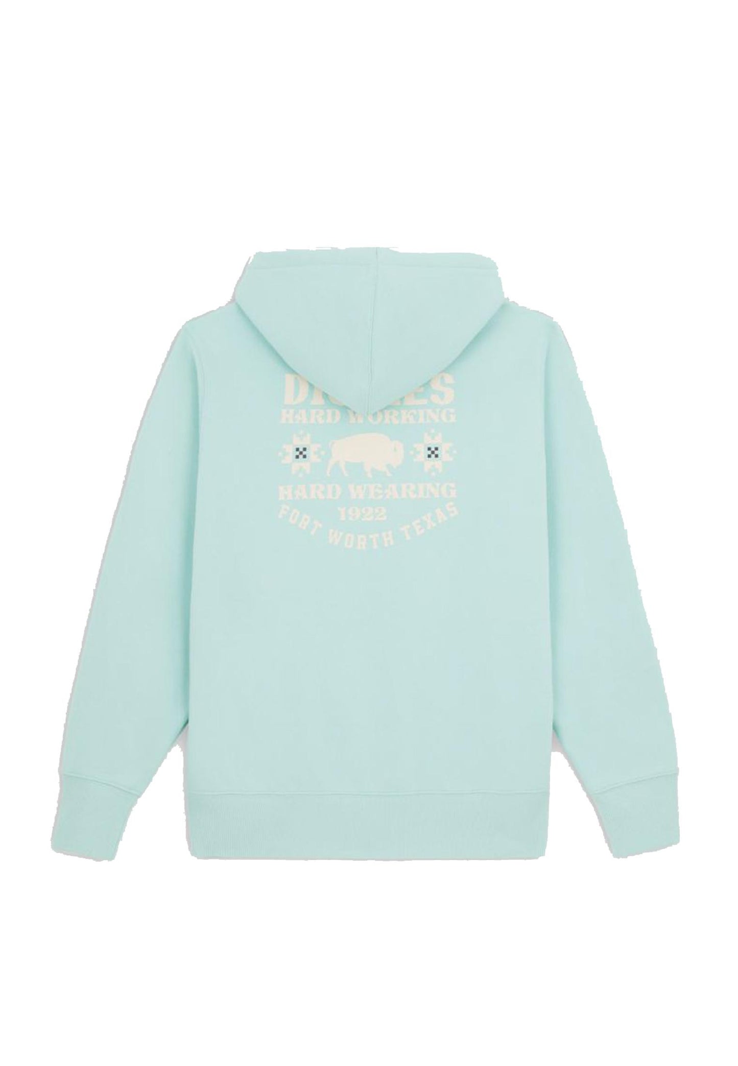 Felpa con cappuccio Hays Turchese Dickies A23 DK0A4YEO G031 DICKIES 