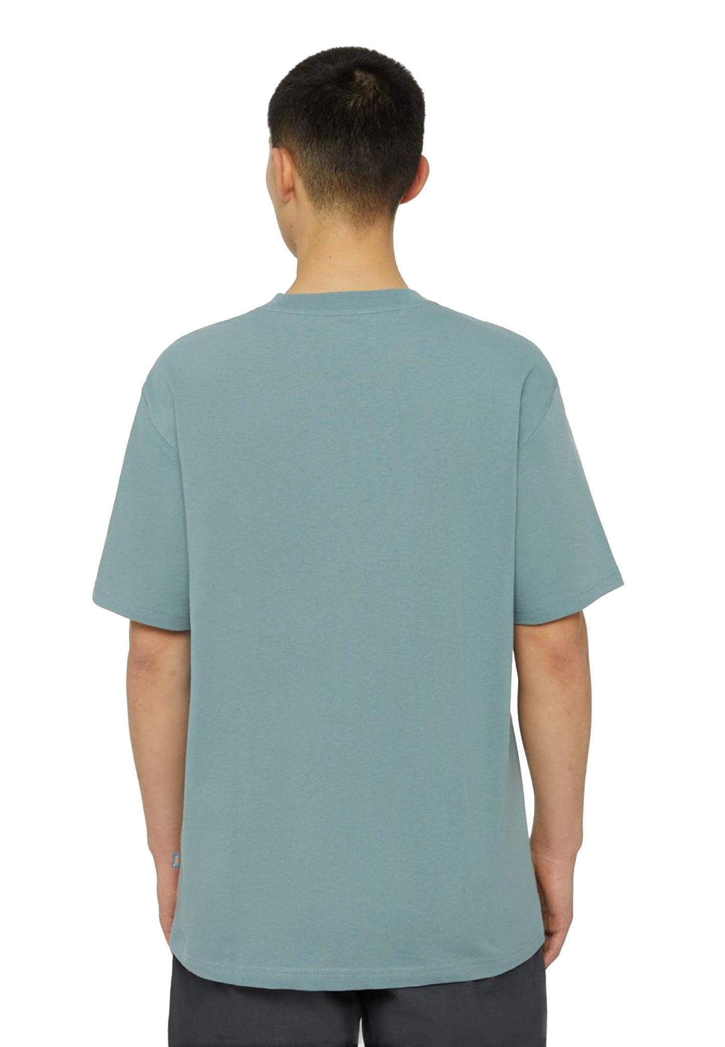 T-Shirt Grigio Tropper girocollo Luray A Maniche Corte Con Taschino Dickies A23 DK0A4YFCG071 G071 DICKIES 