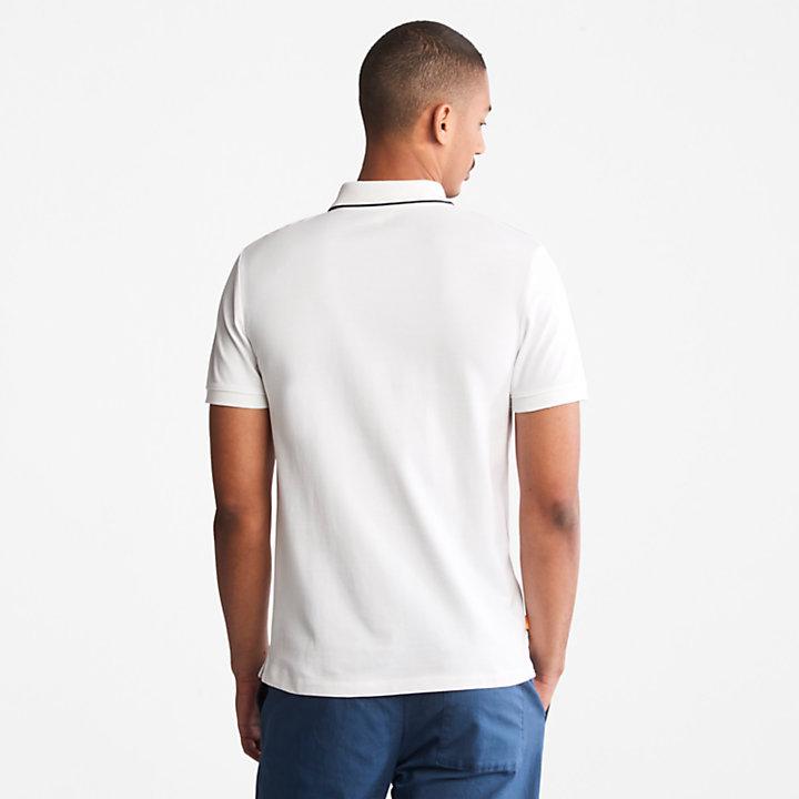 Polo in Piqué Millers River Timberland P24 TB0A26NF 10011001 TIMBERLAND 