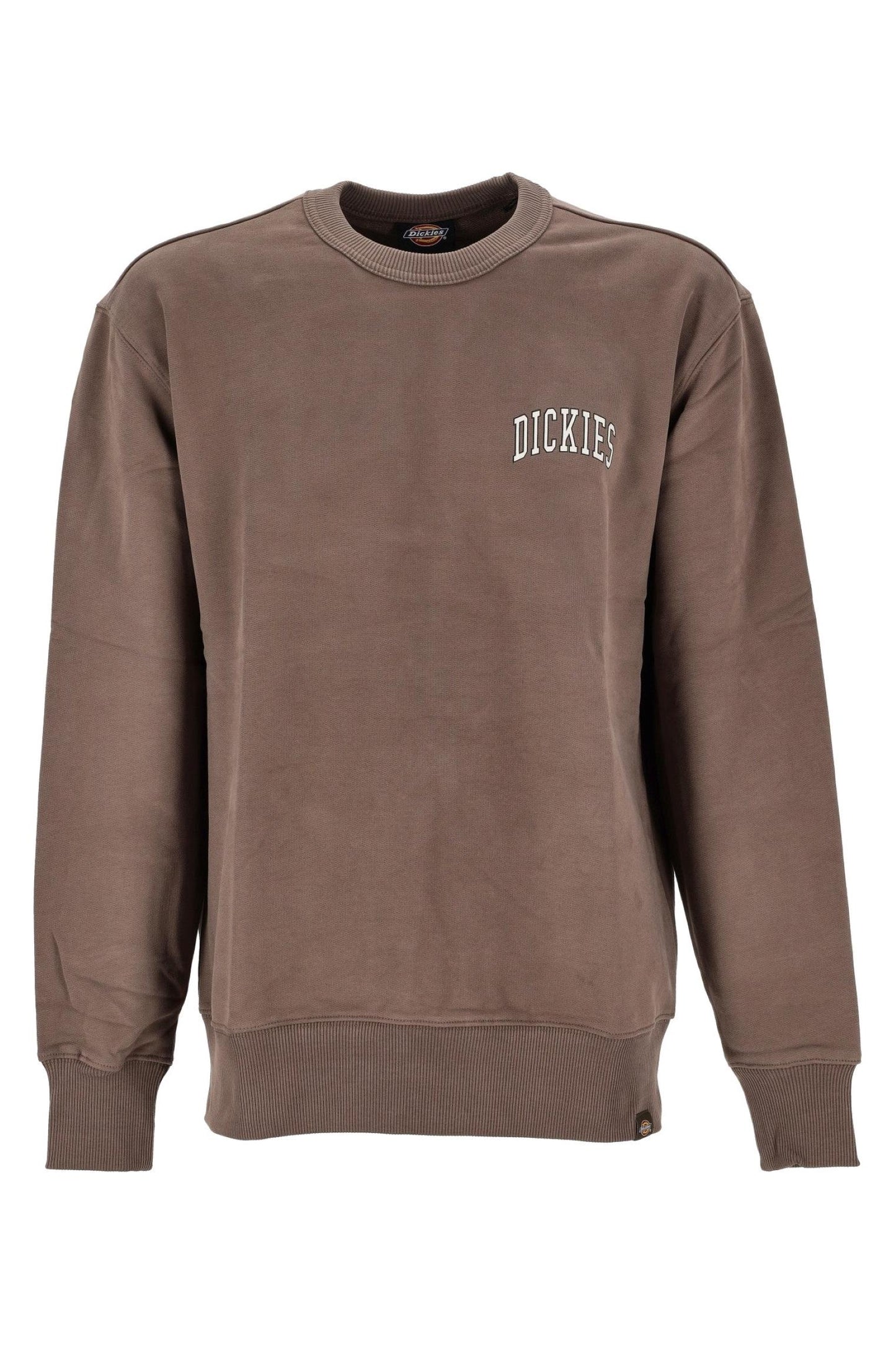 Felpa girocollo Aitkins con grafica sul petto marrone fungo Dickies A24 DK0A4YBGJ961 DKJ96DKJ96 DICKIES 