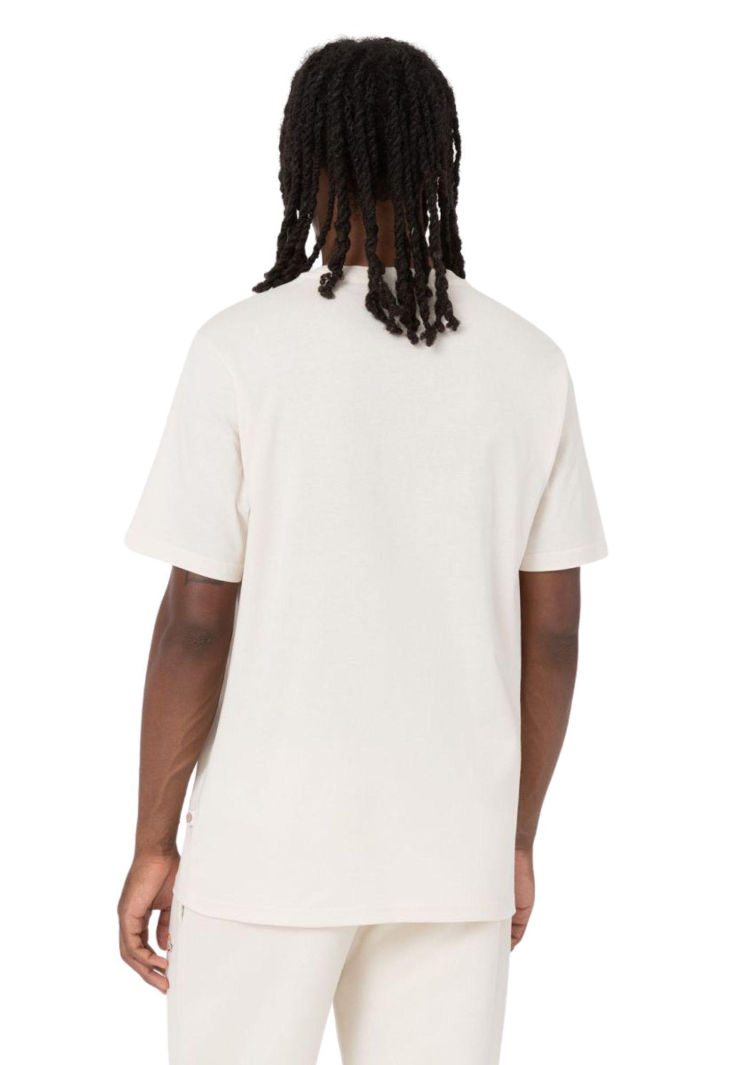 T-shirt Mapleton grigio chiaro Dickies P25 DK0A4XDBF901 DKF90DKF90 DICKIES 