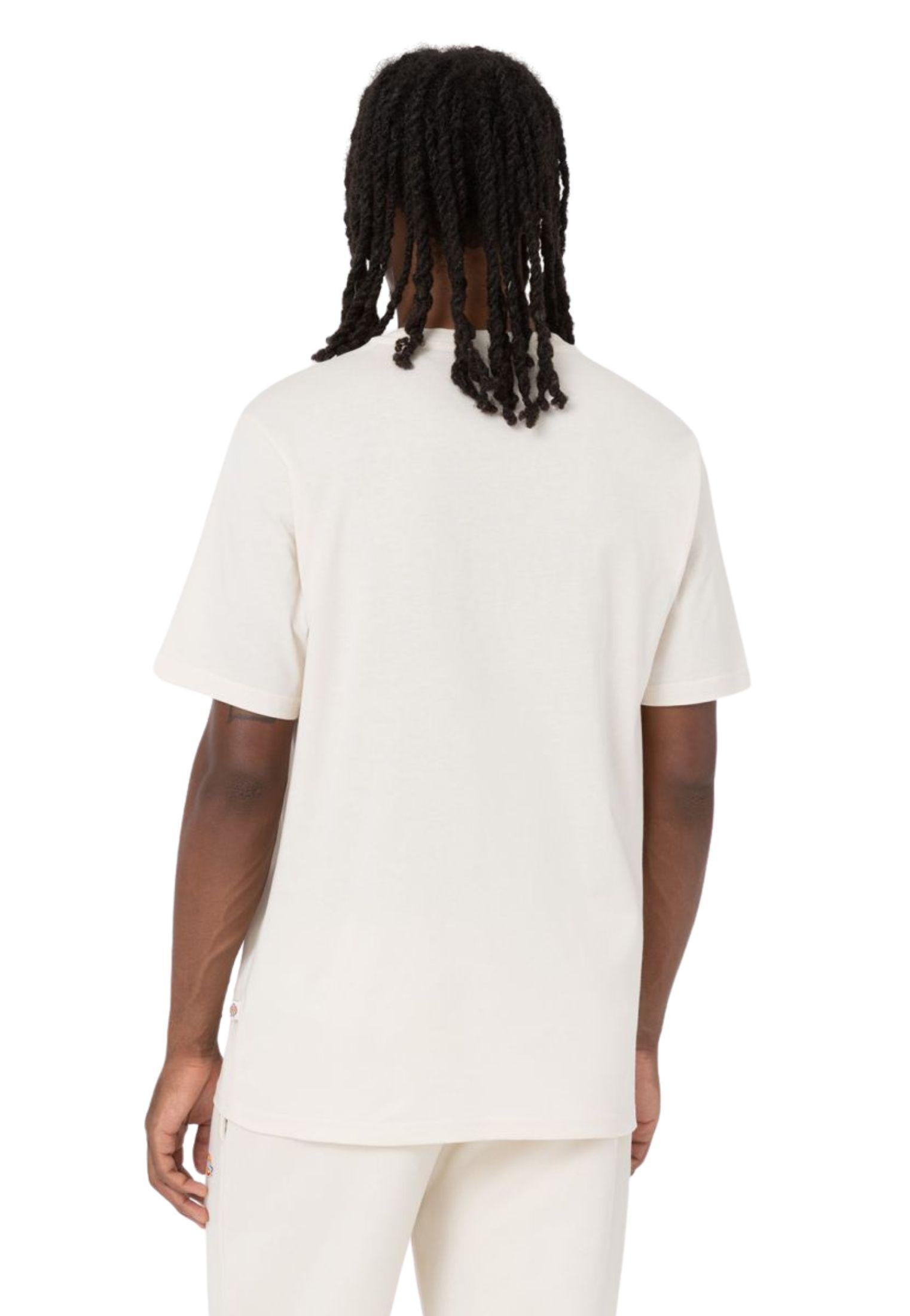 T-shirt Mapleton grigio chiaro Dickies P25 DK0A4XDBF901 DKF90DKF90 DICKIES 