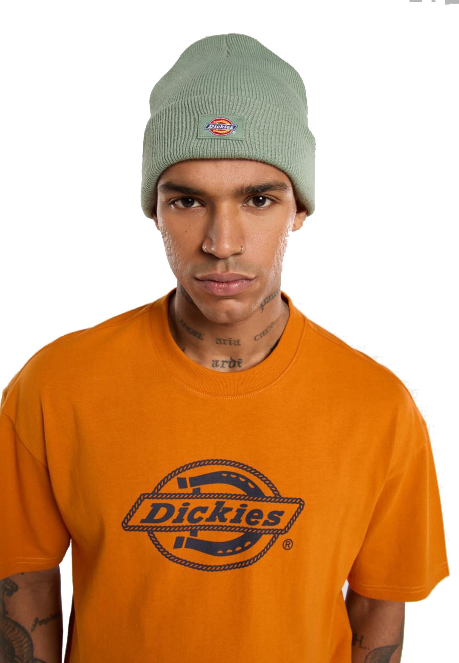 Berretto verde oliva unisex Gibsland Dickies A25 DK0A4X7KL191 DKL19DKL19 DICKIES 