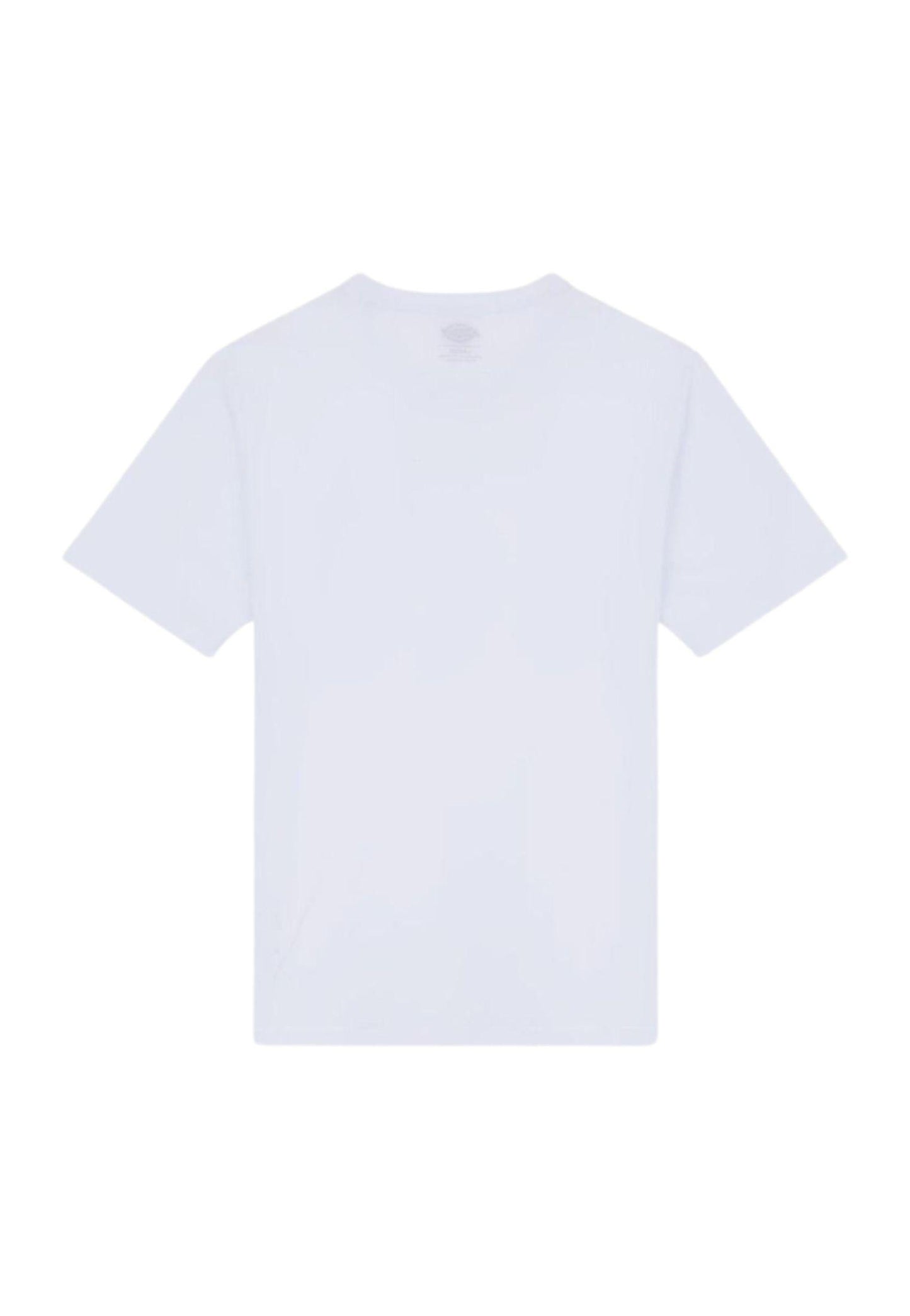 T-shirt Mapleton bianco Dickies P25 DK0A4XDBWHX1 DKWHXDKWHX DICKIES 