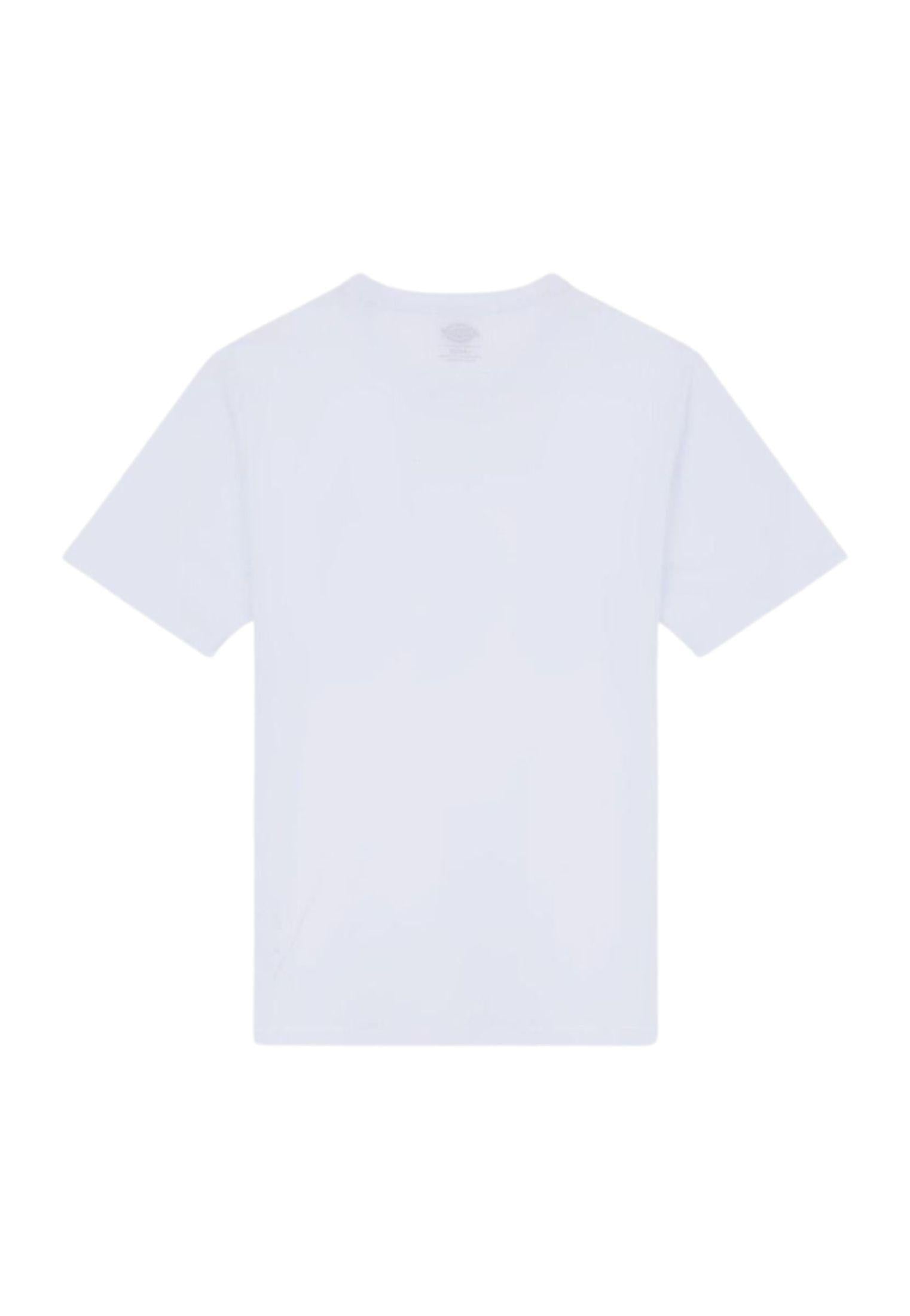T-shirt Mapleton bianco Dickies P25 DK0A4XDBWHX1 DKWHXDKWHX DICKIES 