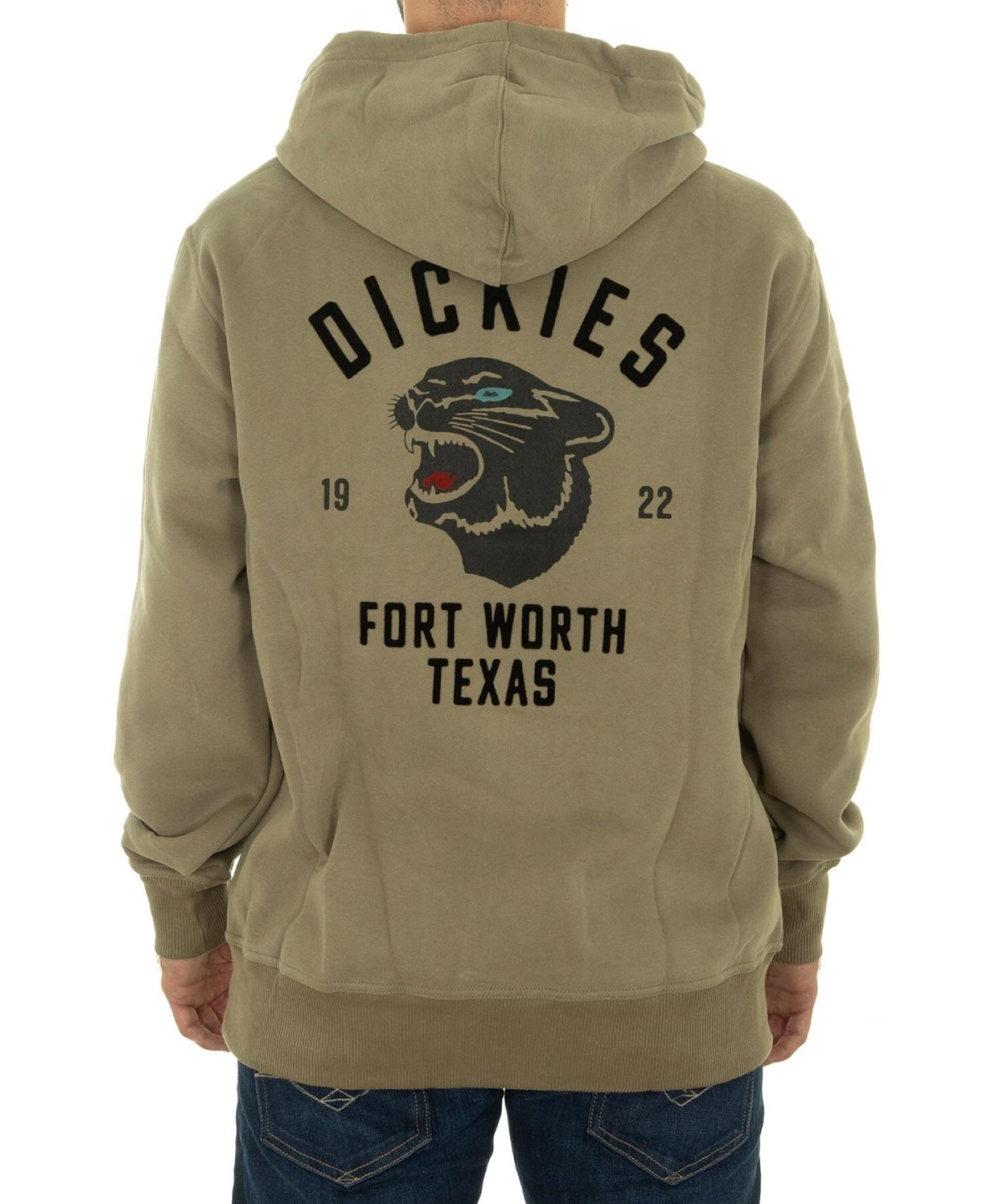 Felpa Panther con cappuccio e grafica sul retro verde imperiale Dickies A24 DK0A87CI0IP1 DK0IPDK0IP DICKIES 