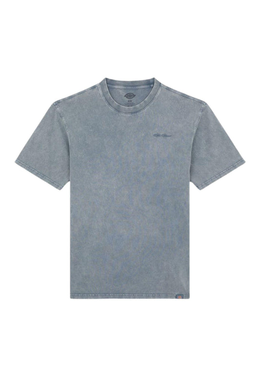 T-shirt Plentywood grigio Dickies P25 DK0A866BG701 DKG70DKG70 DICKIES 
