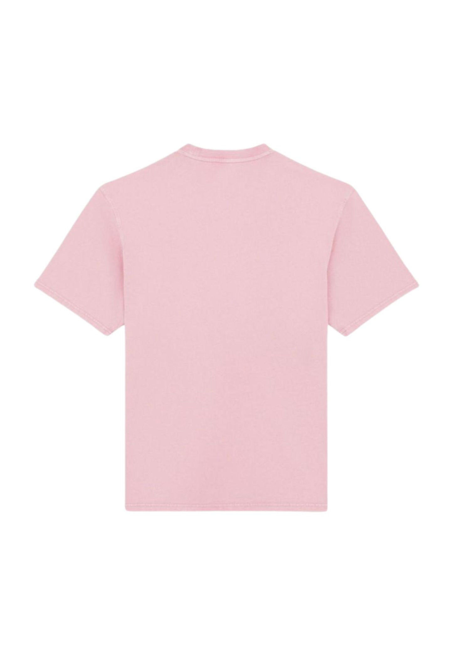 T-shirt Plentywood rosa Dickies P25 DK0A866BK391 DKK39DKK39 DICKIES 