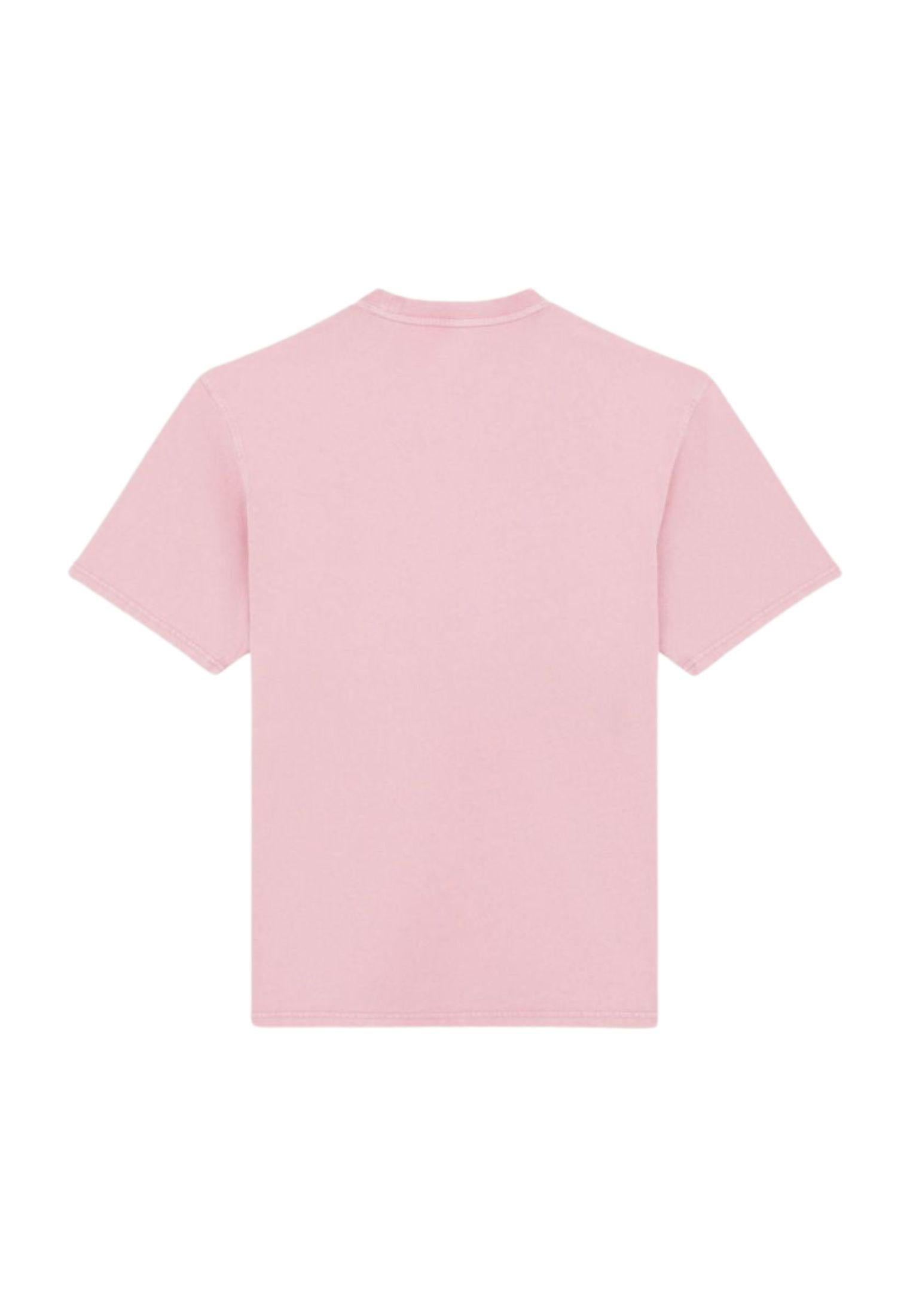T-shirt Plentywood rosa Dickies P25 DK0A866BK391 DKK39DKK39 DICKIES 