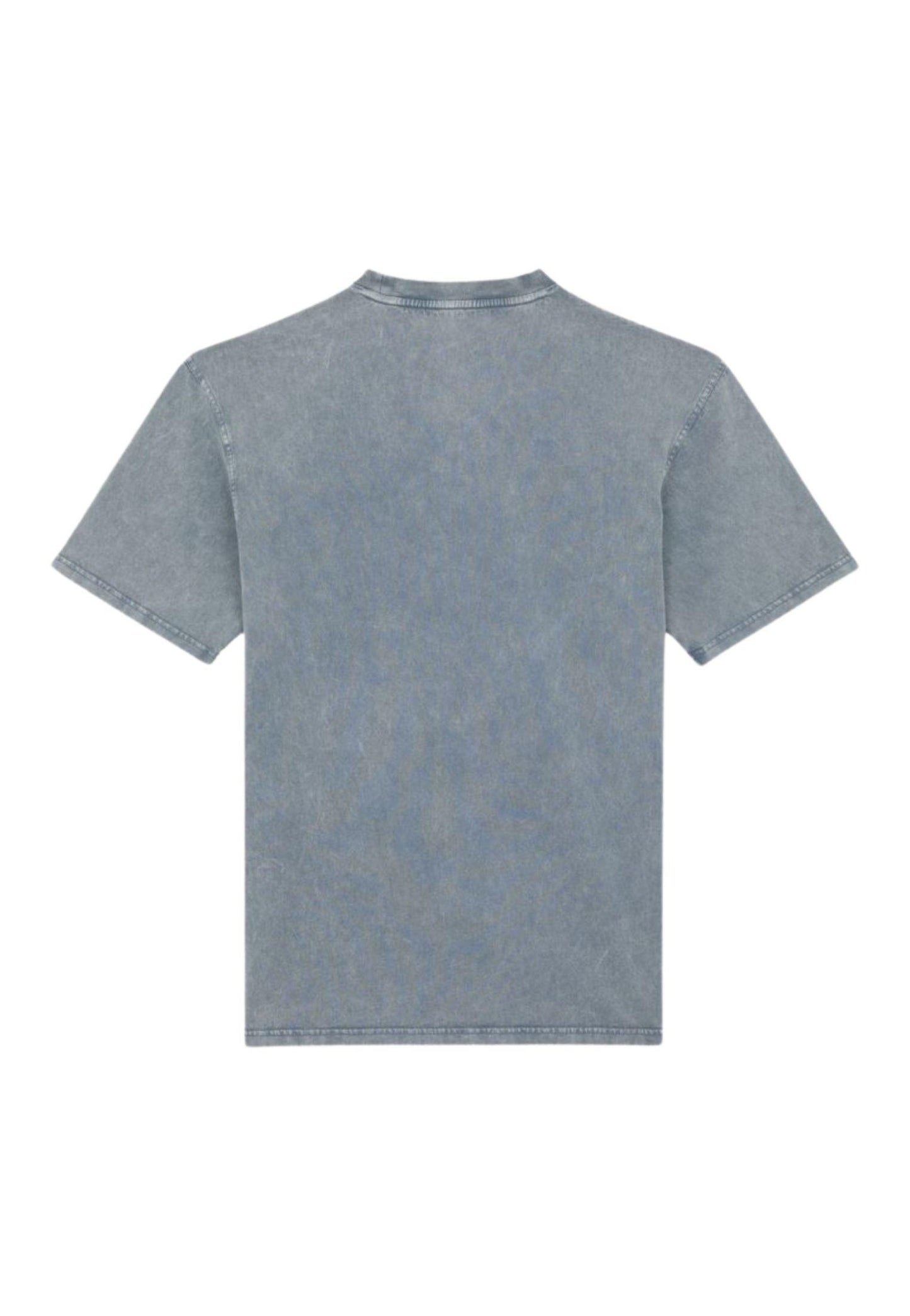T-shirt Plentywood grigio Dickies P25 DK0A866BG701 DKG70DKG70 DICKIES 