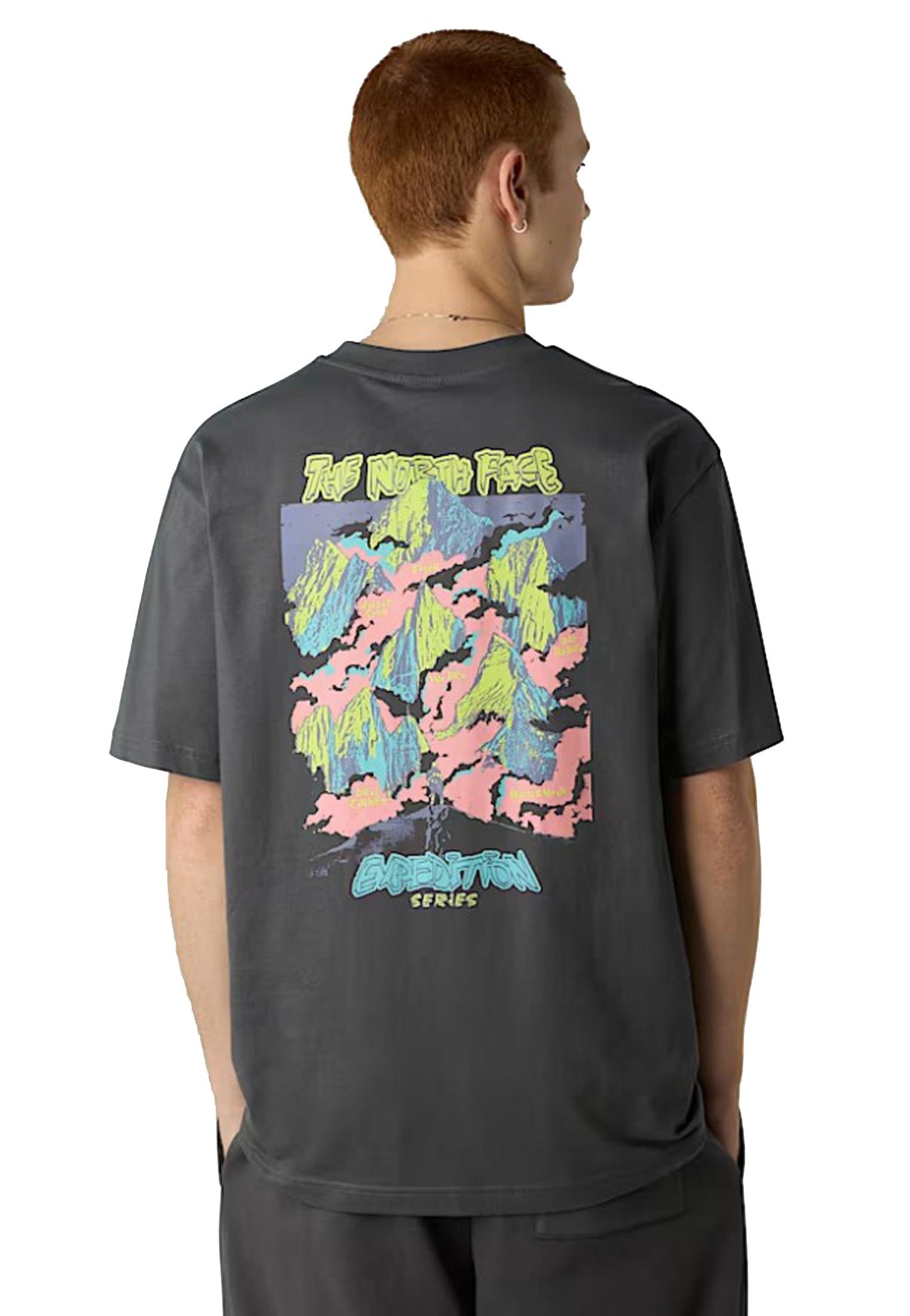 T-shirt grigia girocollo cotone Expedition Celebration The North Face A25 NF0A8E3CRHI1 NFRHINFRHI THE NORTH FACE 