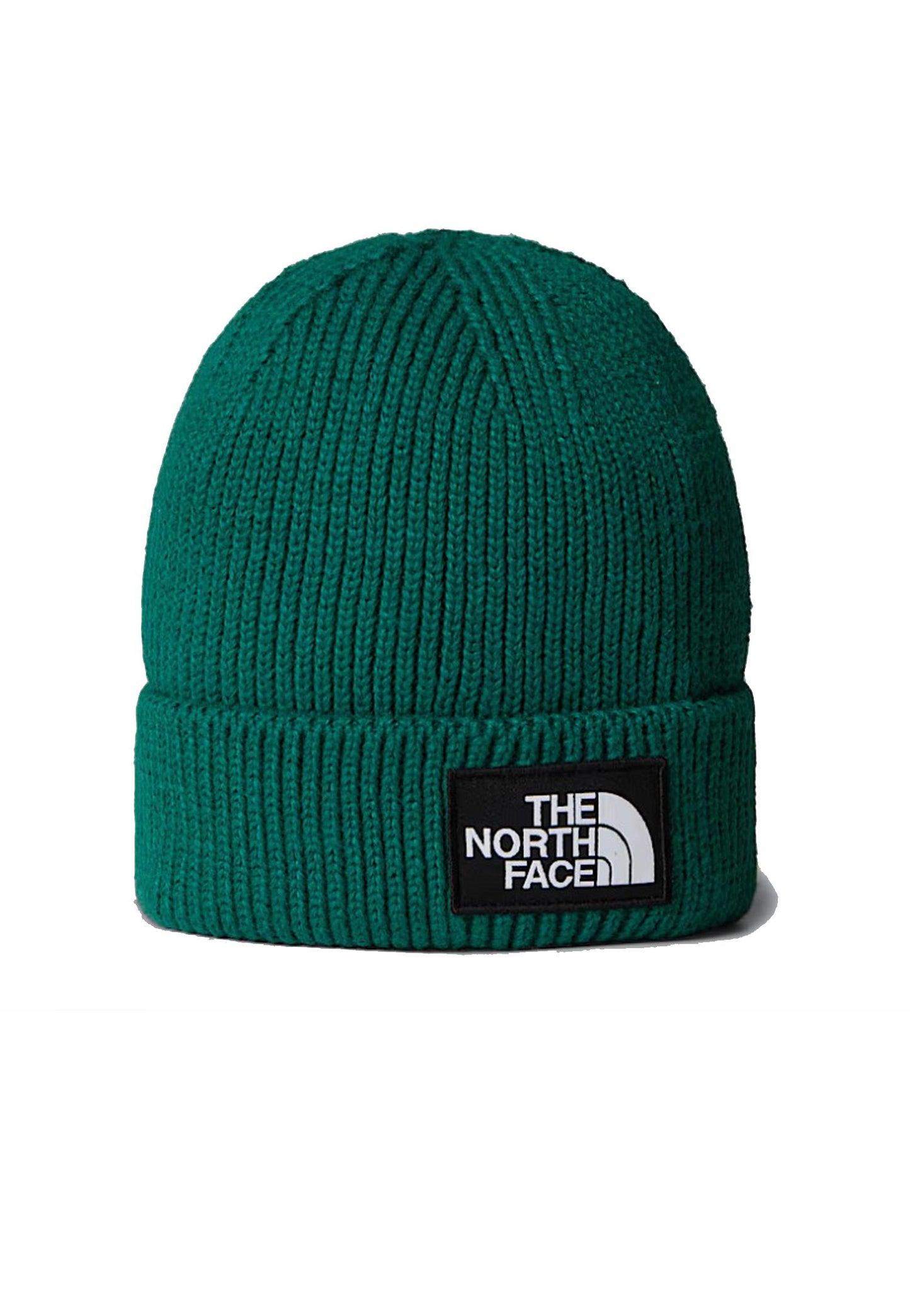 Berretto verde con risvolto e logo box The North Face A25 NF0A8CHENL11 NFNL1NFNL1 THE NORTH FACE 