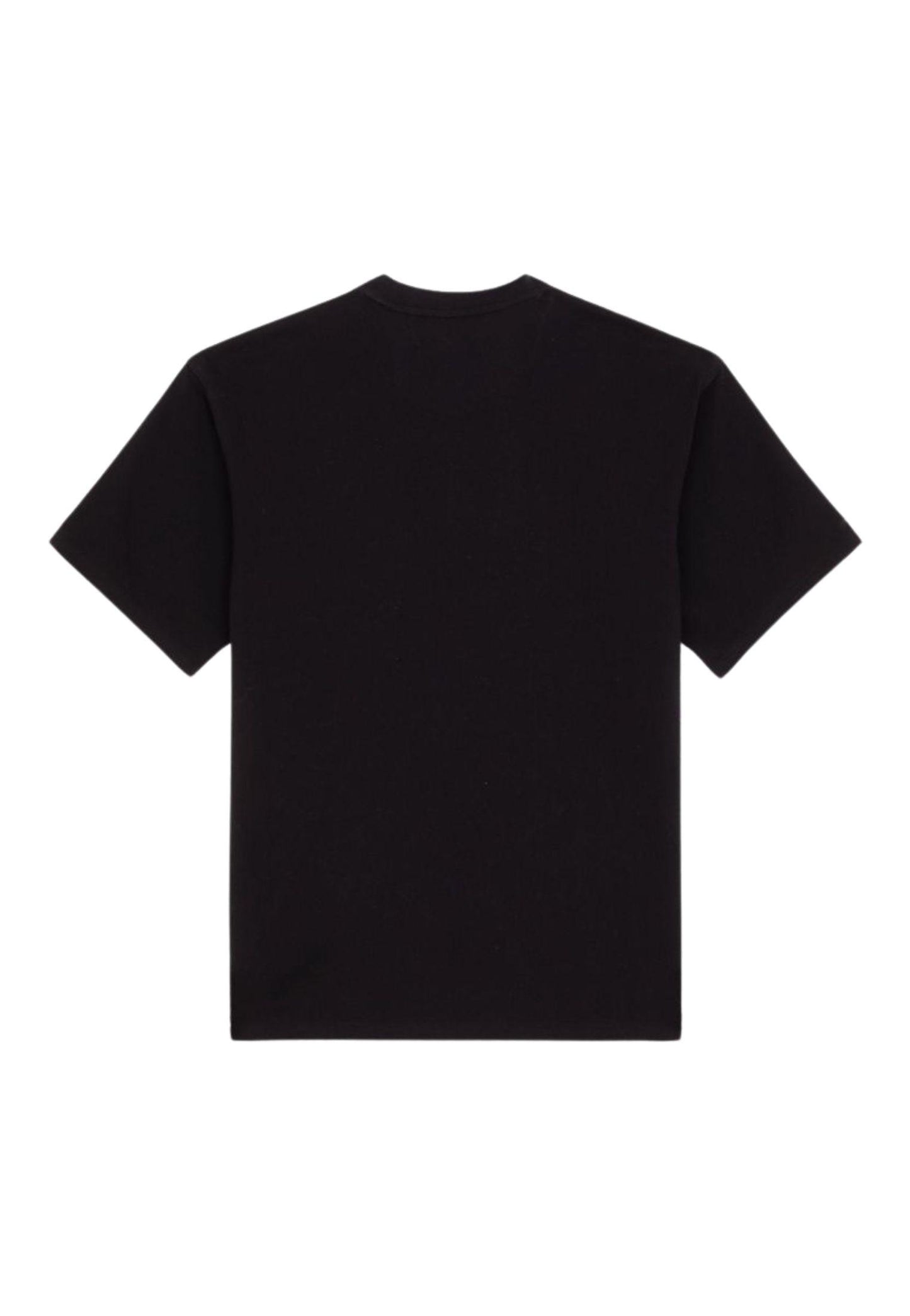 T-shirt Clancy Heavyweight nero Dickies P25 DK0A4Z4LBLK1 DKBLKDKBLK DICKIES 