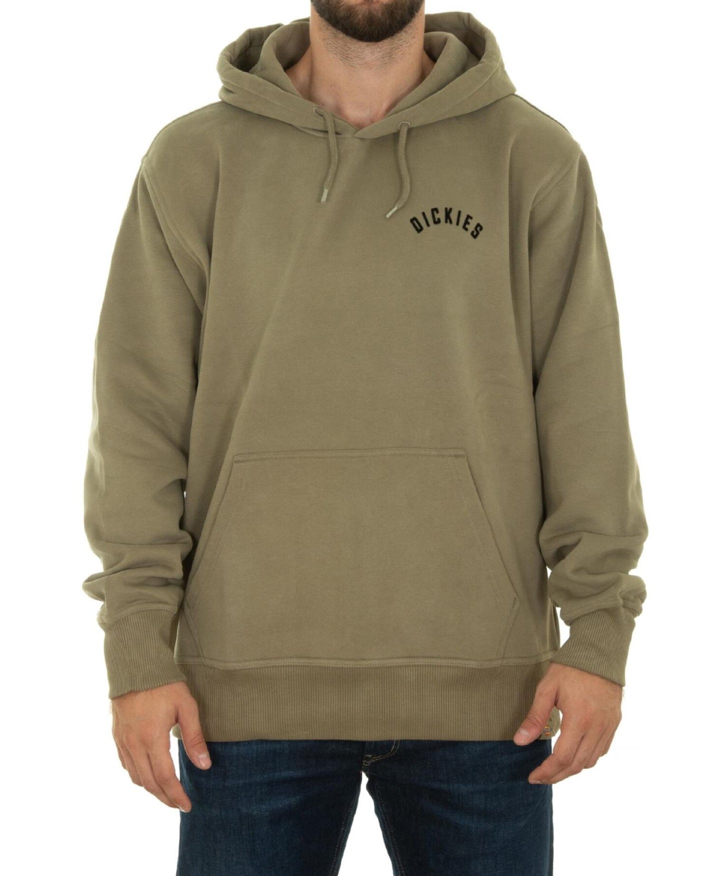 Felpa Panther con cappuccio e grafica sul retro verde imperiale Dickies A24 DK0A87CI0IP1 DK0IPDK0IP DICKIES 