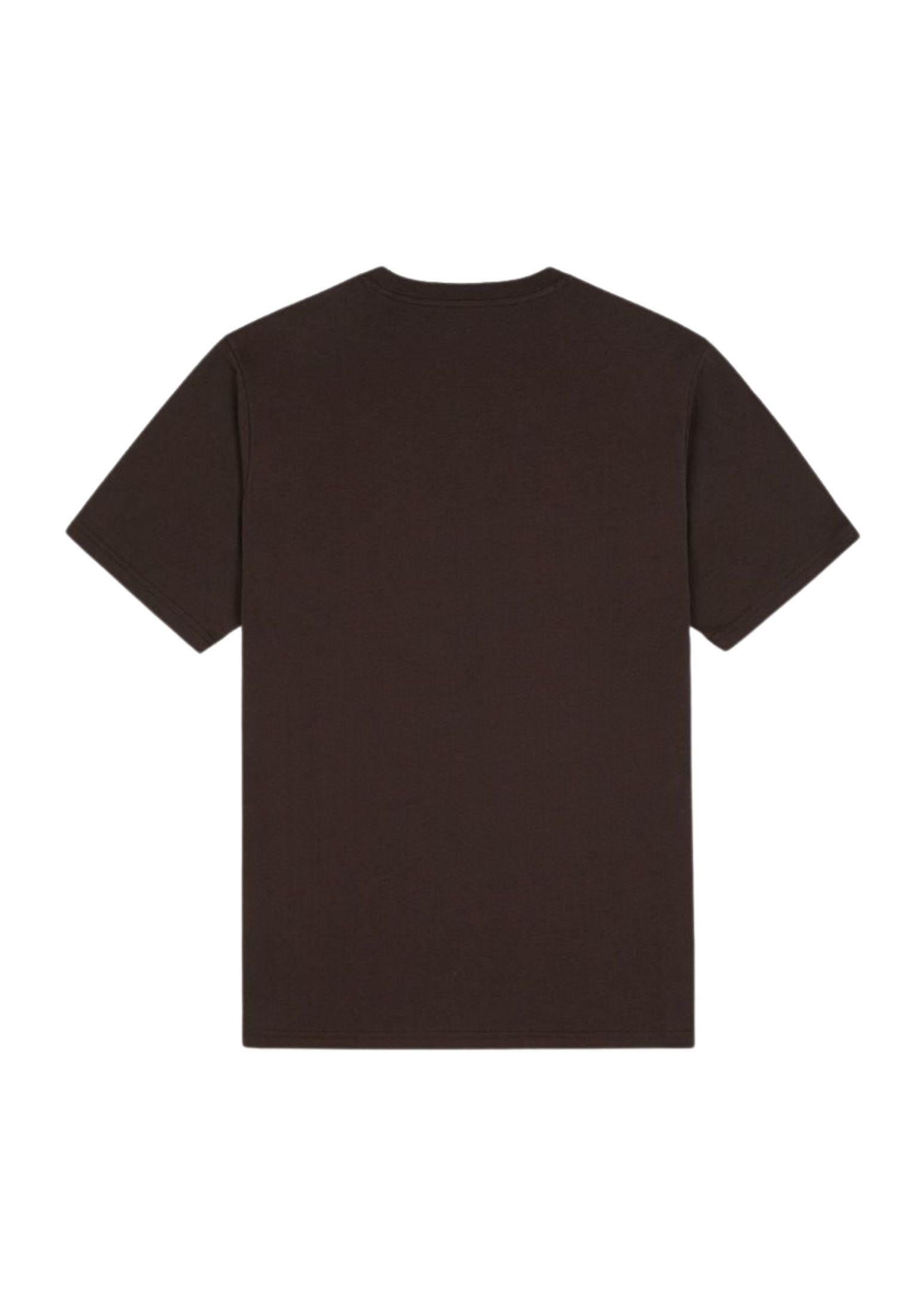 T-shirt Mapleton nero Dickies P25 DK0A4XDBBLK1 DKBLKDKBLK DICKIES 