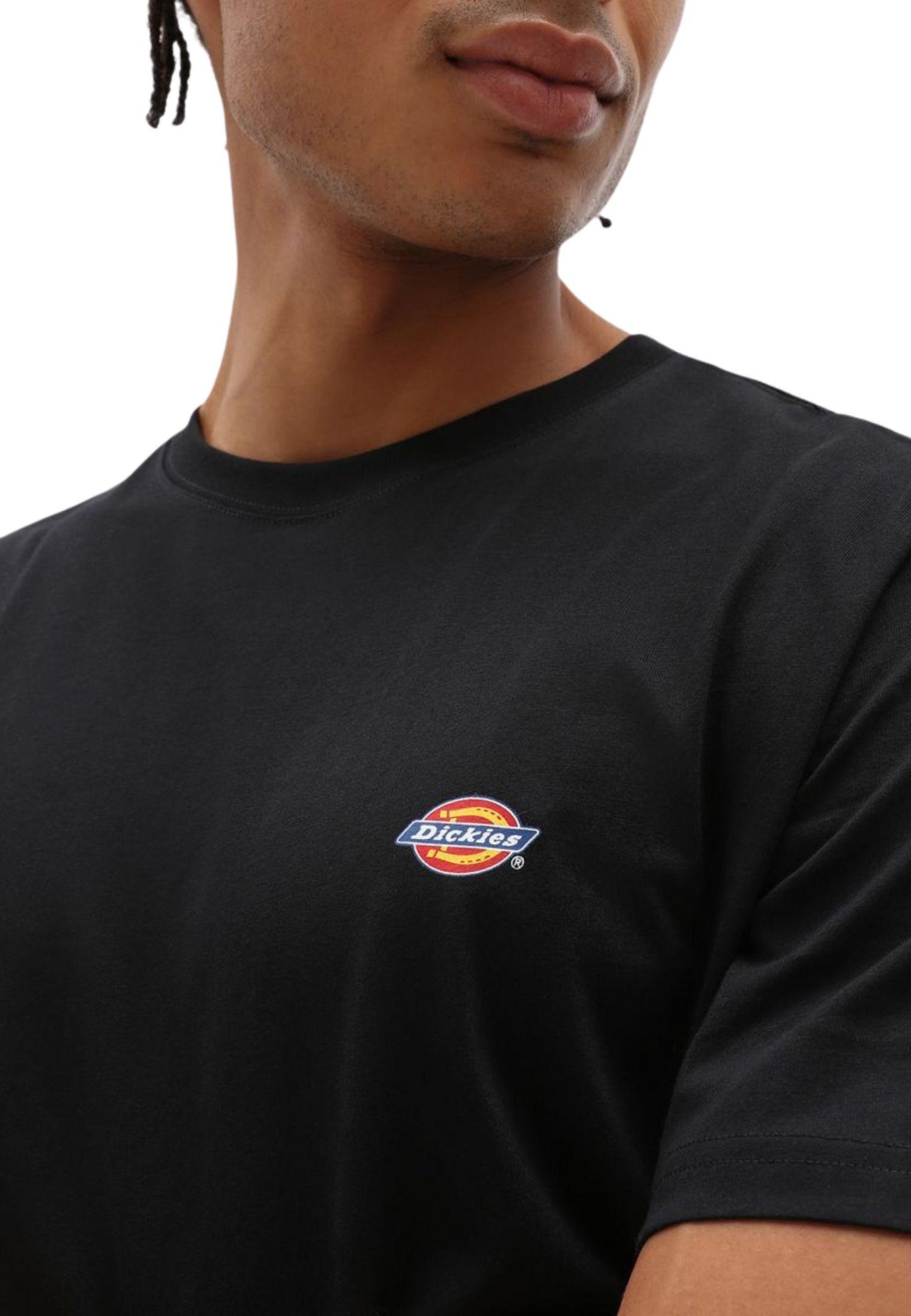 T-shirt Mapleton nero Dickies P25 DK0A4XDBBLK1 DKBLKDKBLK DICKIES 