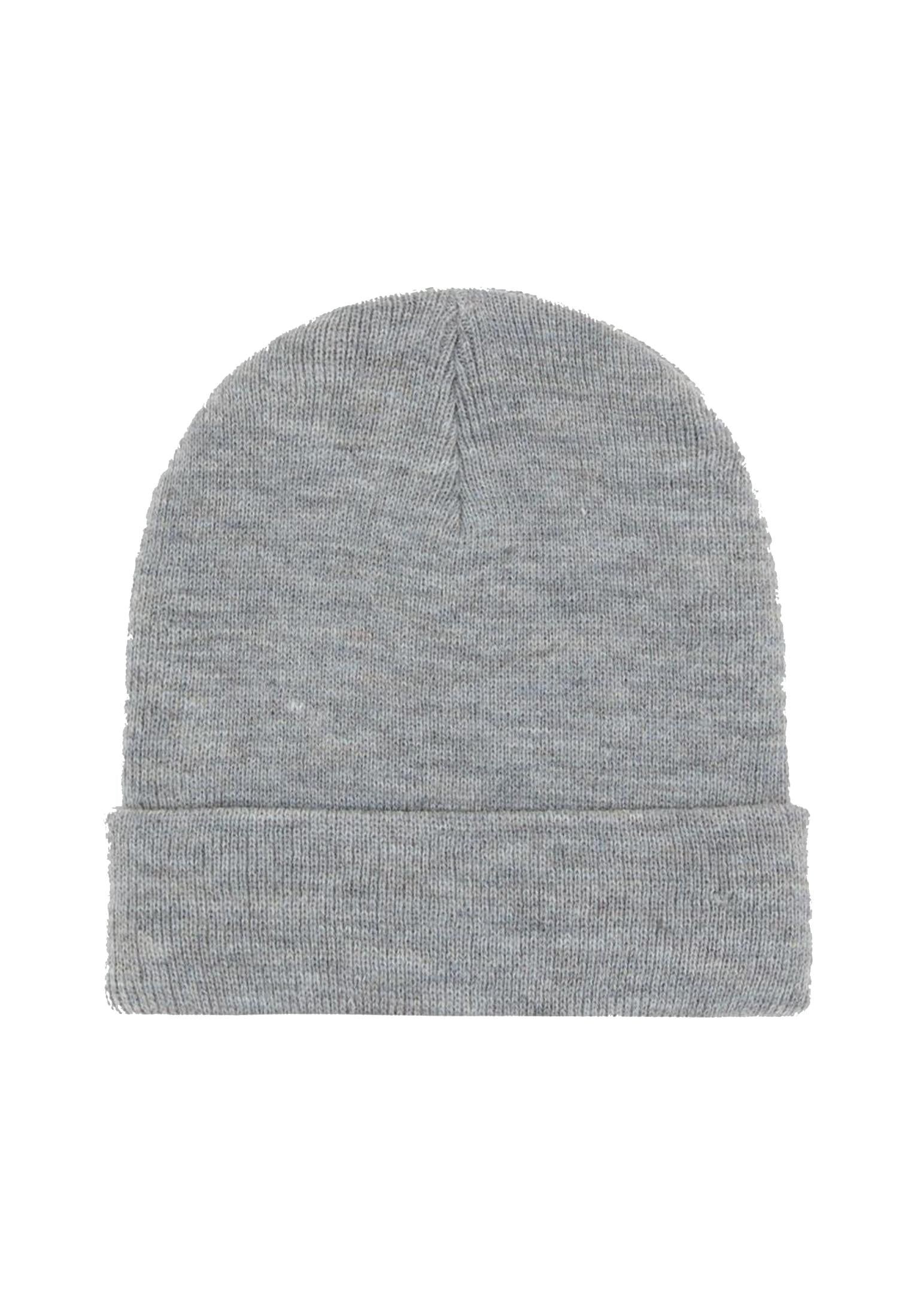 Berretto grigio unisex Gibsland Dickies A25 DK0A4X7KGYM1 DKGYMDKGYM DICKIES 